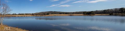 255 Gilbert Rd, Thomaston, GA 30286 photo 45
