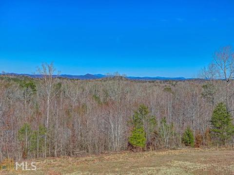 17 Bryant Dr, Toccoa, GA 30577 photo 60