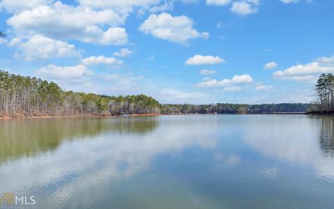 33 Freedom Ct, Martin, GA 30557 photo 42