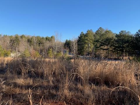 1595 Williams Bridge Rd, Toccoa, GA 30577 photo 9