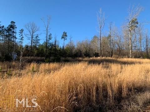 1595 Williams Bridge Rd, Toccoa, GA 30577 photo 3