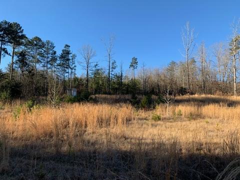 1595 Williams Bridge Rd, Toccoa, GA 30577 photo 2