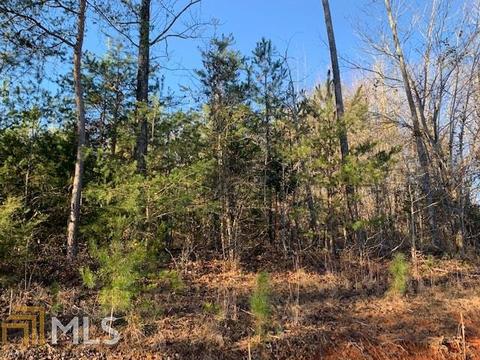 1595 Williams Bridge Rd, Toccoa, GA 30577 photo 11
