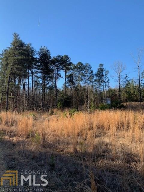 1595 Williams Bridge Rd, Toccoa, GA 30577 photo 13