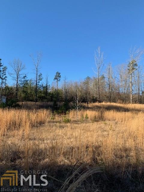 1595 Williams Bridge Rd, Toccoa, GA 30577 photo 12