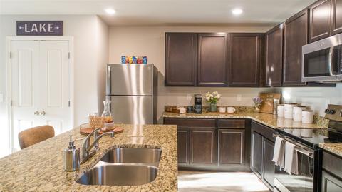 366 Whitby Ter, Hampton, GA 30228 photo 12