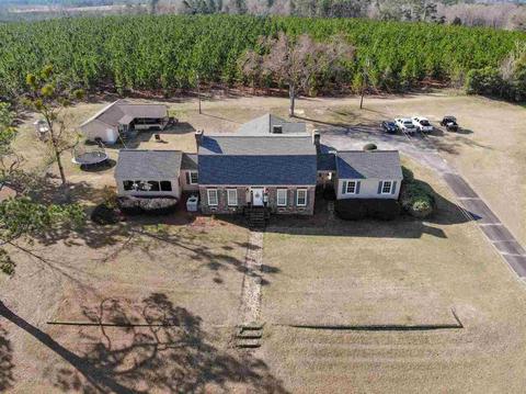 335 E College St, Ailey, GA 30410 photo 51