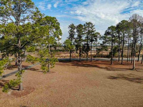 335 E College St, Ailey, GA 30410 photo 63