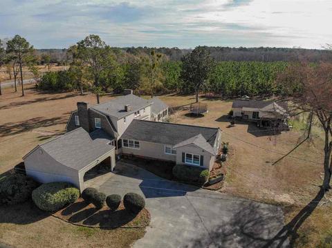 335 E College St, Ailey, GA 30410 photo 52