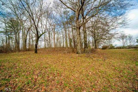 163 Mann Rd, Tyrone, GA 30290 photo 65