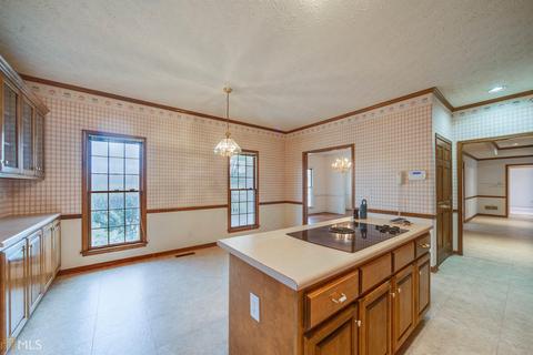 163 Mann Rd, Tyrone, GA 30290 photo 21