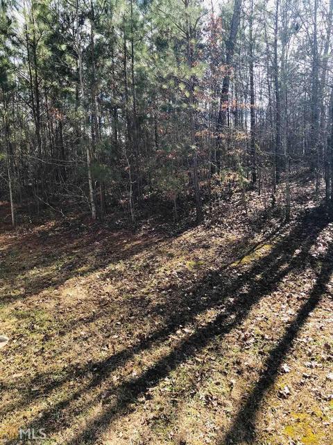 150 Rabon Trl, Temple, GA 30179 photo 8
