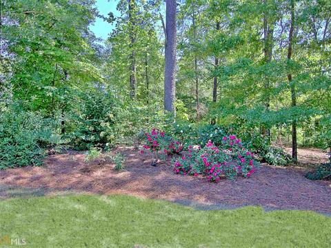 145 Wickham Dr, Tyrone, GA 30290 photo 93