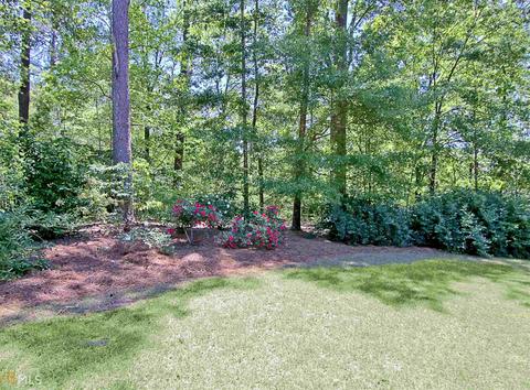 145 Wickham Dr, Tyrone, GA 30290 photo 92