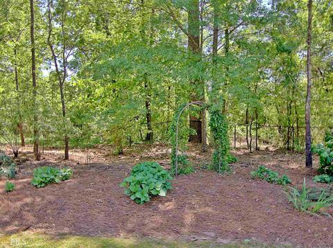 145 Wickham Dr, Tyrone, GA 30290 photo 94