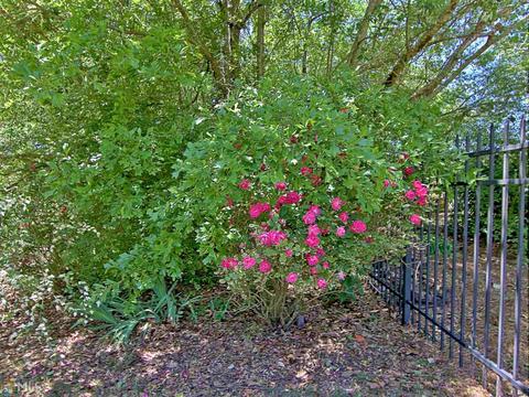 145 Wickham Dr, Tyrone, GA 30290 photo 88