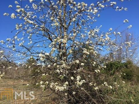 149 Elmina Dr, Toccoa, GA 30577 photo 68