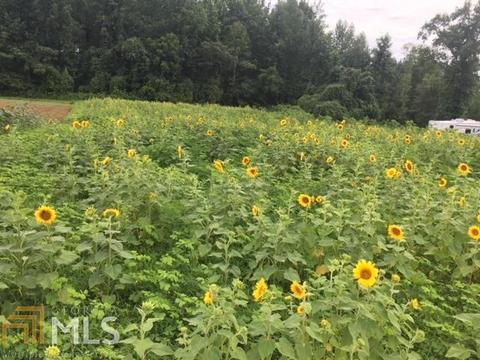 149 Elmina Dr, Toccoa, GA 30577 photo 75