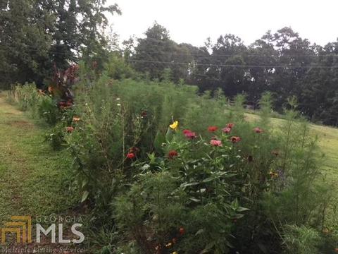 149 Elmina Dr, Toccoa, GA 30577 photo 79