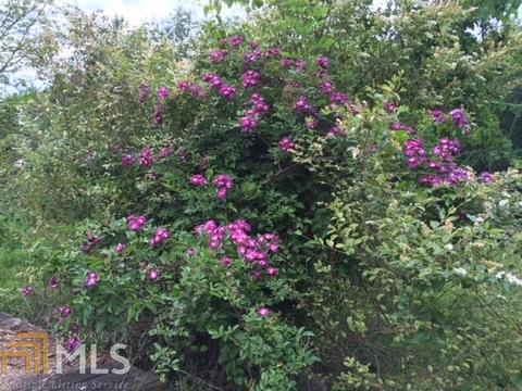 149 Elmina Dr, Toccoa, GA 30577 photo 63