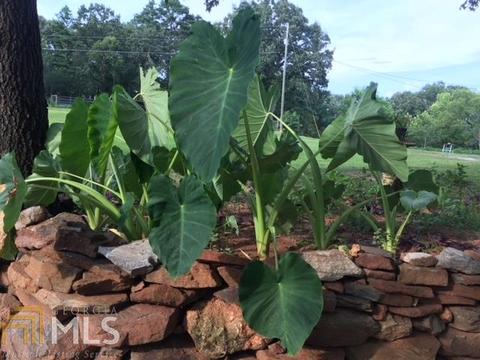 149 Elmina Dr, Toccoa, GA 30577 photo 61