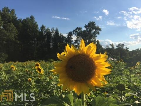 149 Elmina Dr, Toccoa, GA 30577 photo 76