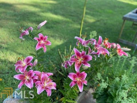 149 Elmina Dr, Toccoa, GA 30577 photo 59