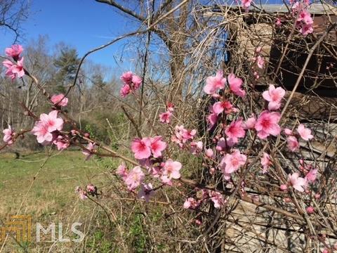 149 Elmina Dr, Toccoa, GA 30577 photo 66