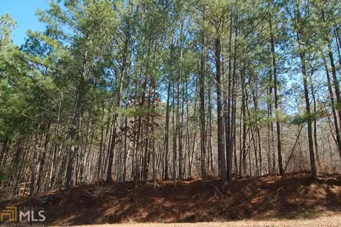 1480 Pullman Ln, Greensboro, GA 30642