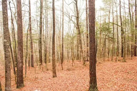 3416 Rock Mills Rd, Lagrange, GA 30240 photo 22