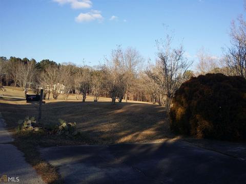 13864 Panhandle Ln, Hampton, GA 30228 photo 2