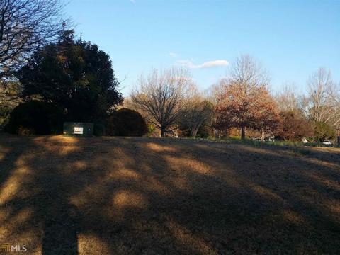 13864 Panhandle Ln, Hampton, GA 30228 photo 3