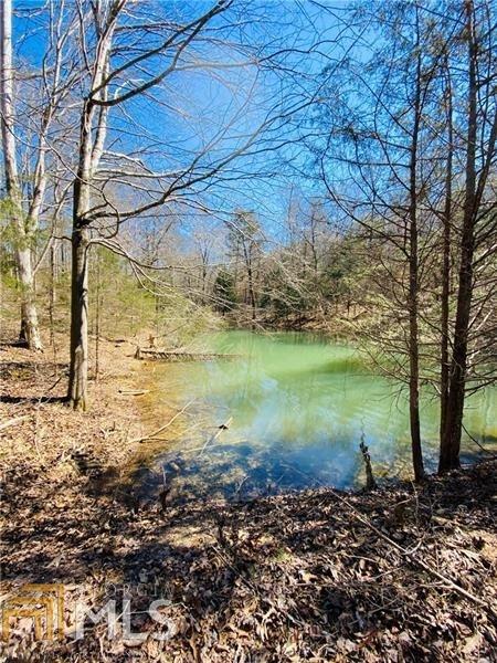 60 Eldon Dr, Toccoa, GA 30577 photo 34