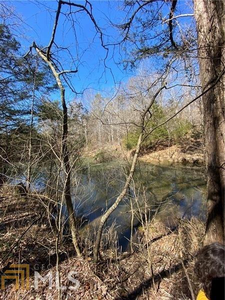 60 Eldon Dr, Toccoa, GA 30577 photo 32