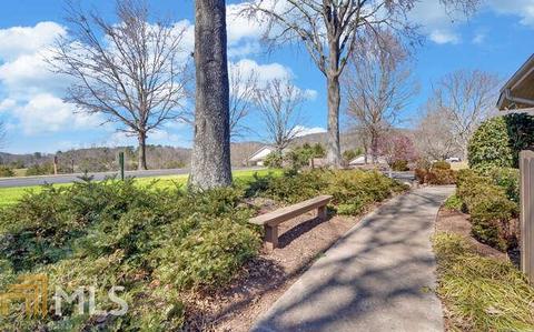 504 Jonathan Pl, Clarkesville, GA 30523 photo 40