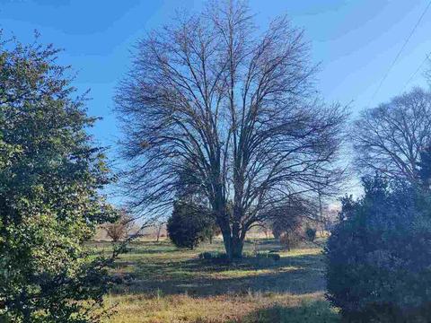 121 Poole Cir, Carnesville, GA 30521 photo 10