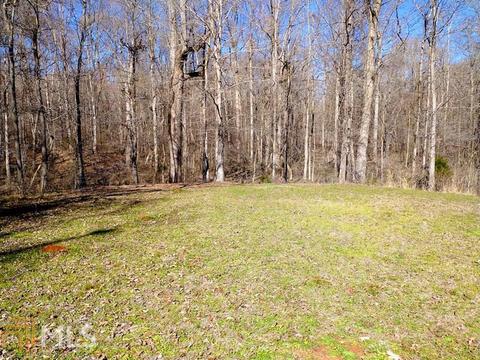 160 Hope Dr, Comer, GA 30629 photo 13