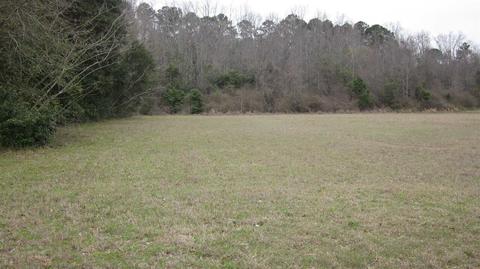 101 Wakefield Dr, Guyton, GA 31312 photo 3