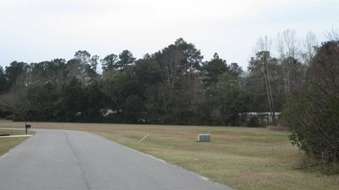 101 Wakefield Dr, Guyton, GA 31312 photo 1