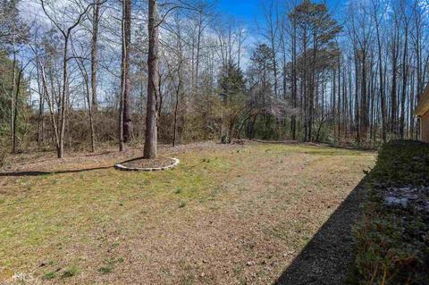 295 Springbrook Dr, Cornelia, GA 30531 photo 39
