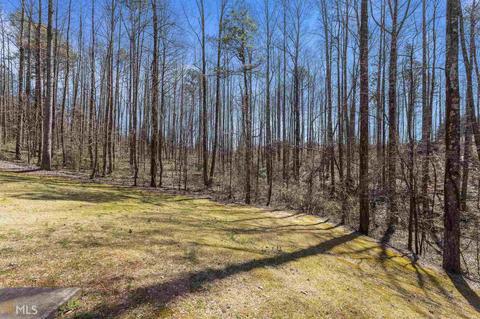 295 Springbrook Dr, Cornelia, GA 30531 photo 34