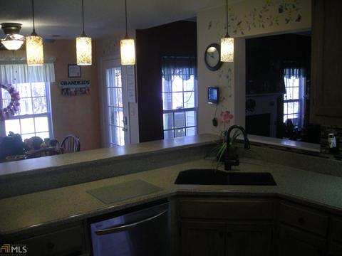 12819 Simmons Rd, Hampton, GA 30228 photo 8