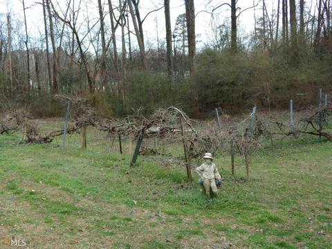 2808 Mud Creek Rd, Cornelia, GA 30531 photo 4