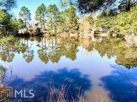 14287 Ga Highway 46, Brooklet, GA 30415 photo 3