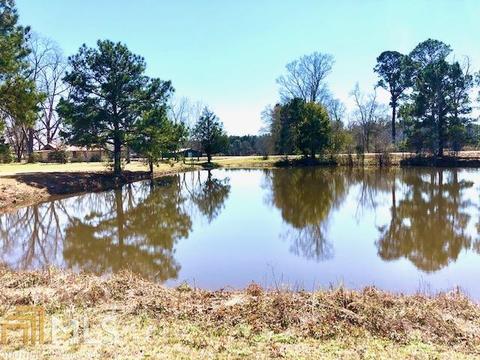 14287 Ga Highway 46, Brooklet, GA 30415 photo 53
