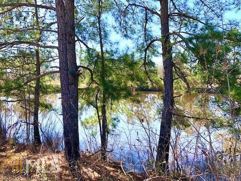 14287 Ga Highway 46, Brooklet, GA 30415 photo 52
