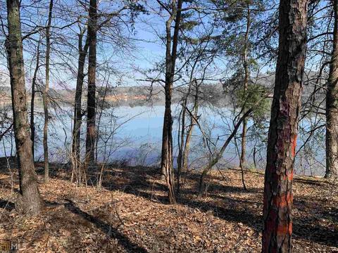 133 Cleveland Dr, Toccoa, GA 30577 photo 8
