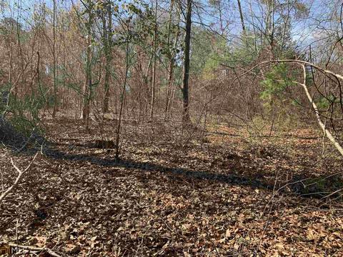 133 Cleveland Dr, Toccoa, GA 30577 photo 12