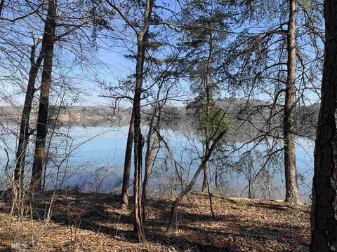 133 Cleveland Dr, Toccoa, GA 30577 photo 19