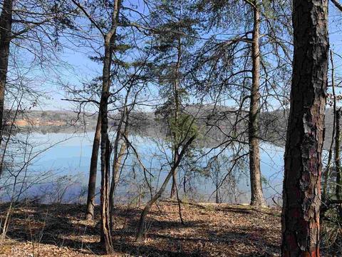 133 Cleveland Dr, Toccoa, GA 30577 photo 20